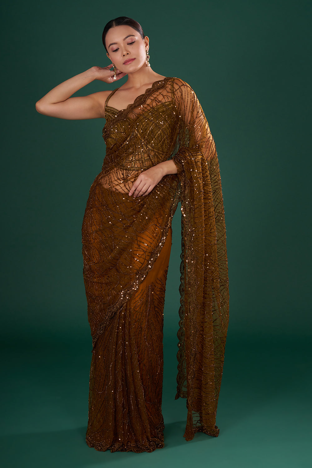 Bronze Embroidered Net Saree with Sequin & Cut Dana Hand Work