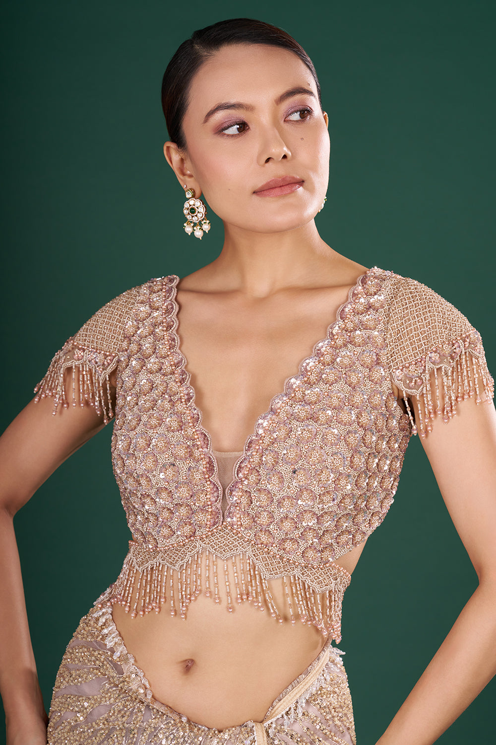 Dusty Gold Embroidered Net Saree and Unstitched Blouse