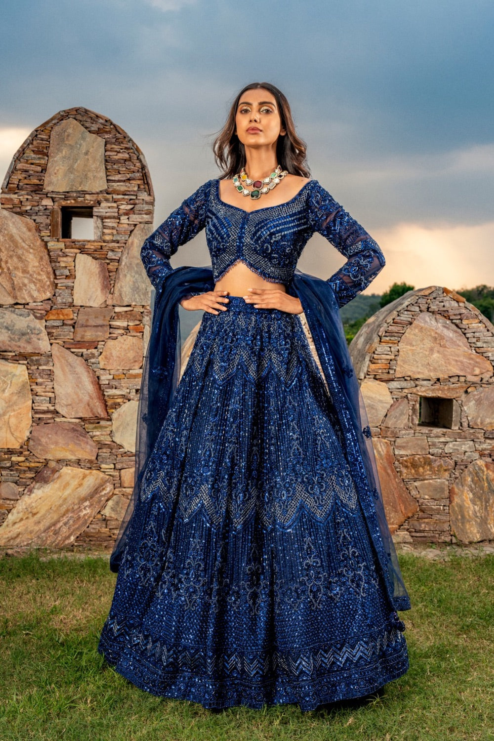 Dark blue net lehenga choli with hand cut dana and sequins work