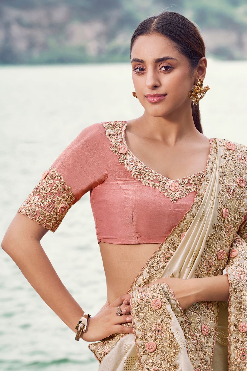 Beige Georgette Sequins and Embroidery Work Saree