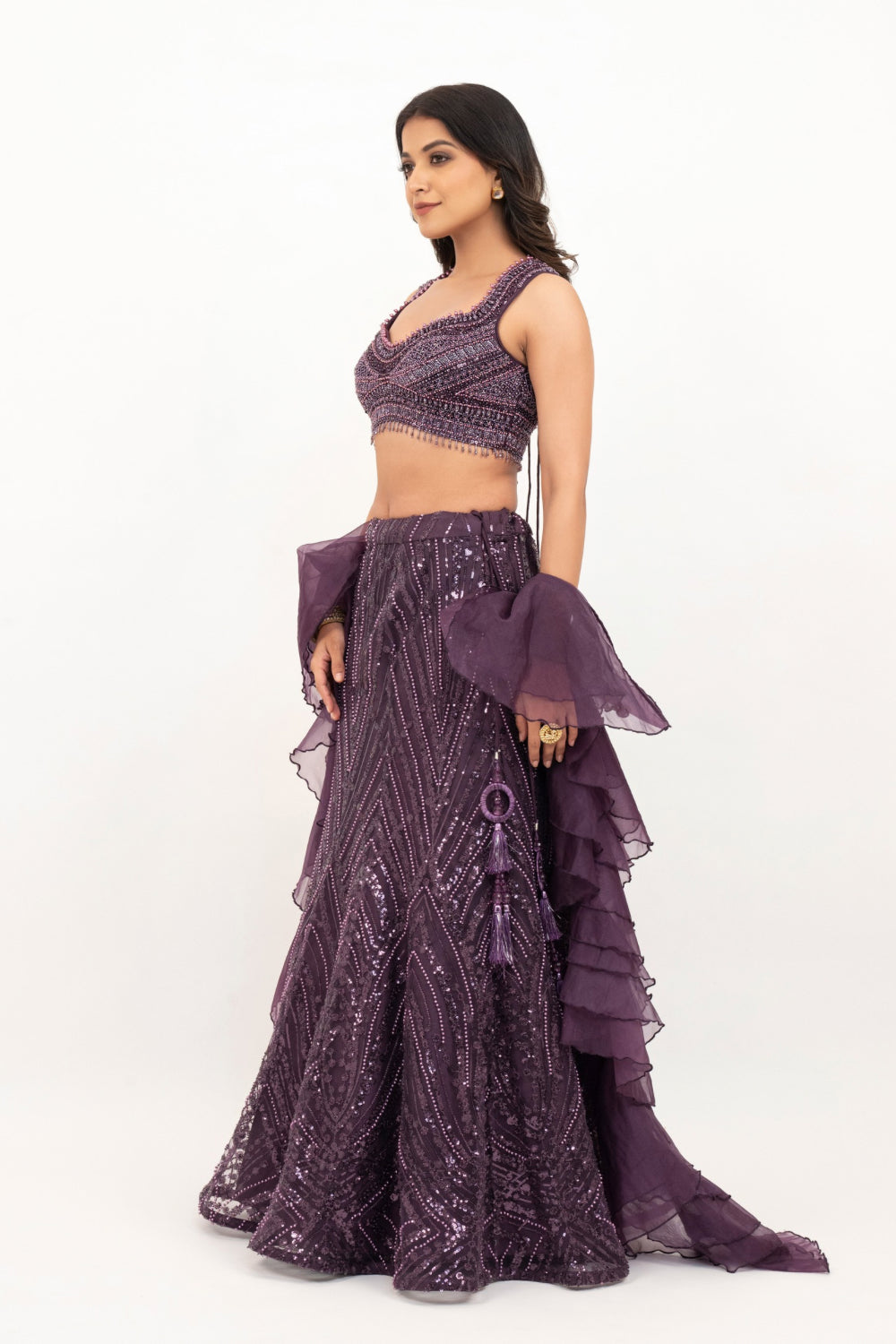 Plum net lehenga choli with sequins and hand cut dana work