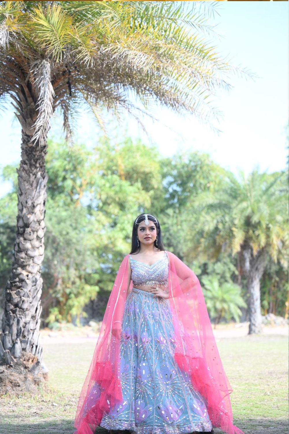 Powder blue net lehenga choli with hand cut dana and mirror work